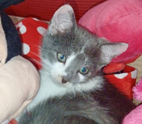 AZOU